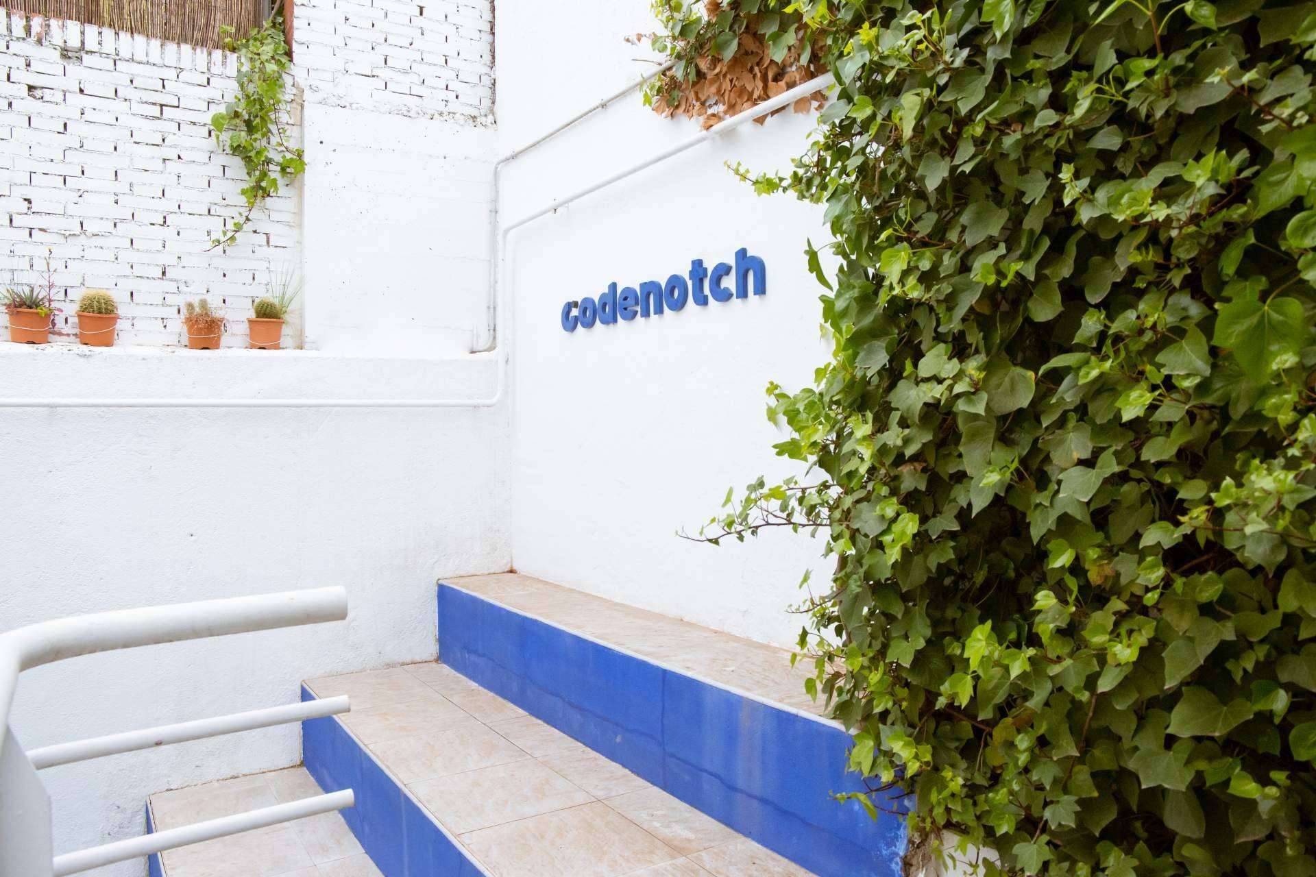 Cursos intensivos de programación, de la mano de Codenotch
