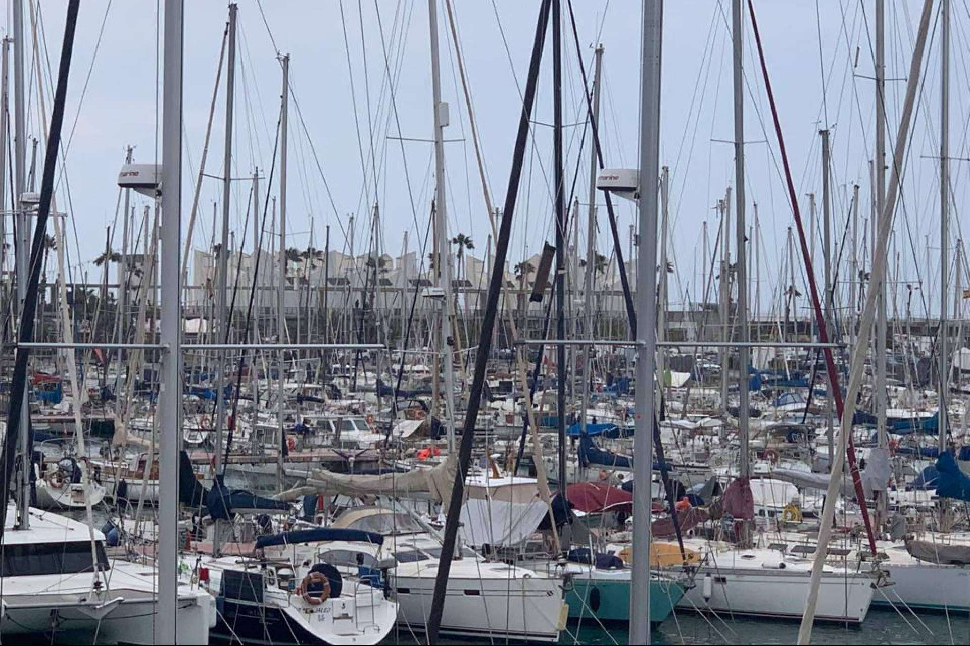 Miles de barcos deberán cambiar su motor de combustible fósil por uno eléctrico