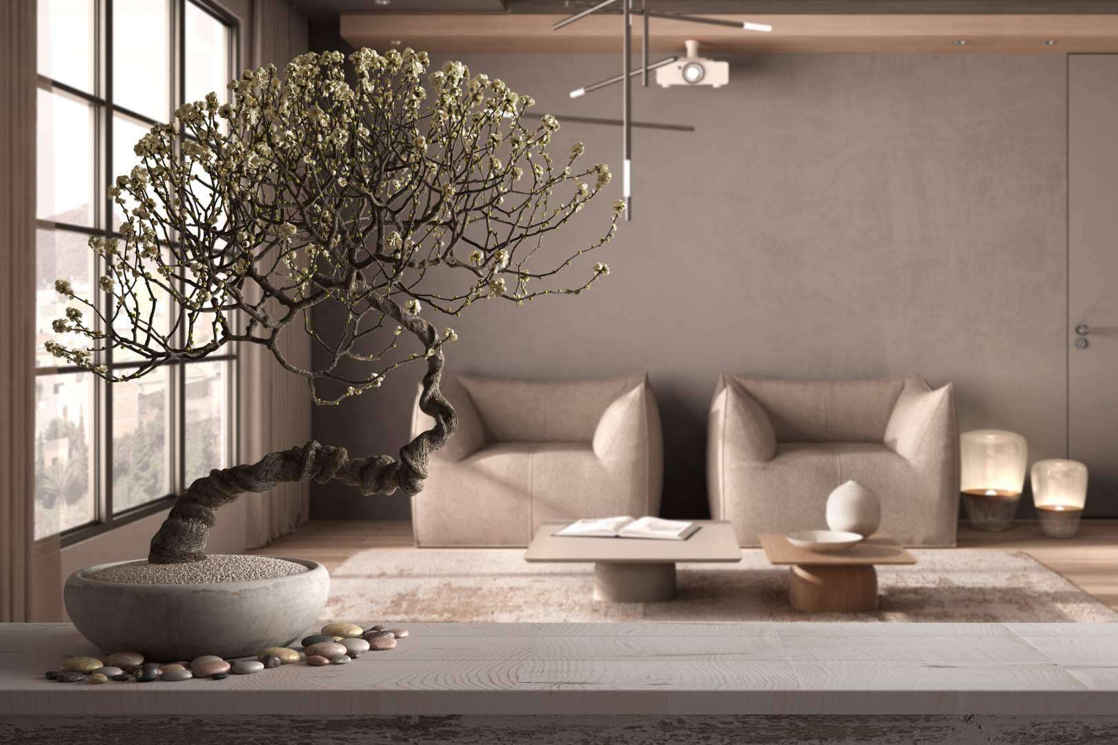 El Feng Shui es importante en las casas para mantener la armonía y el equilibrio mental