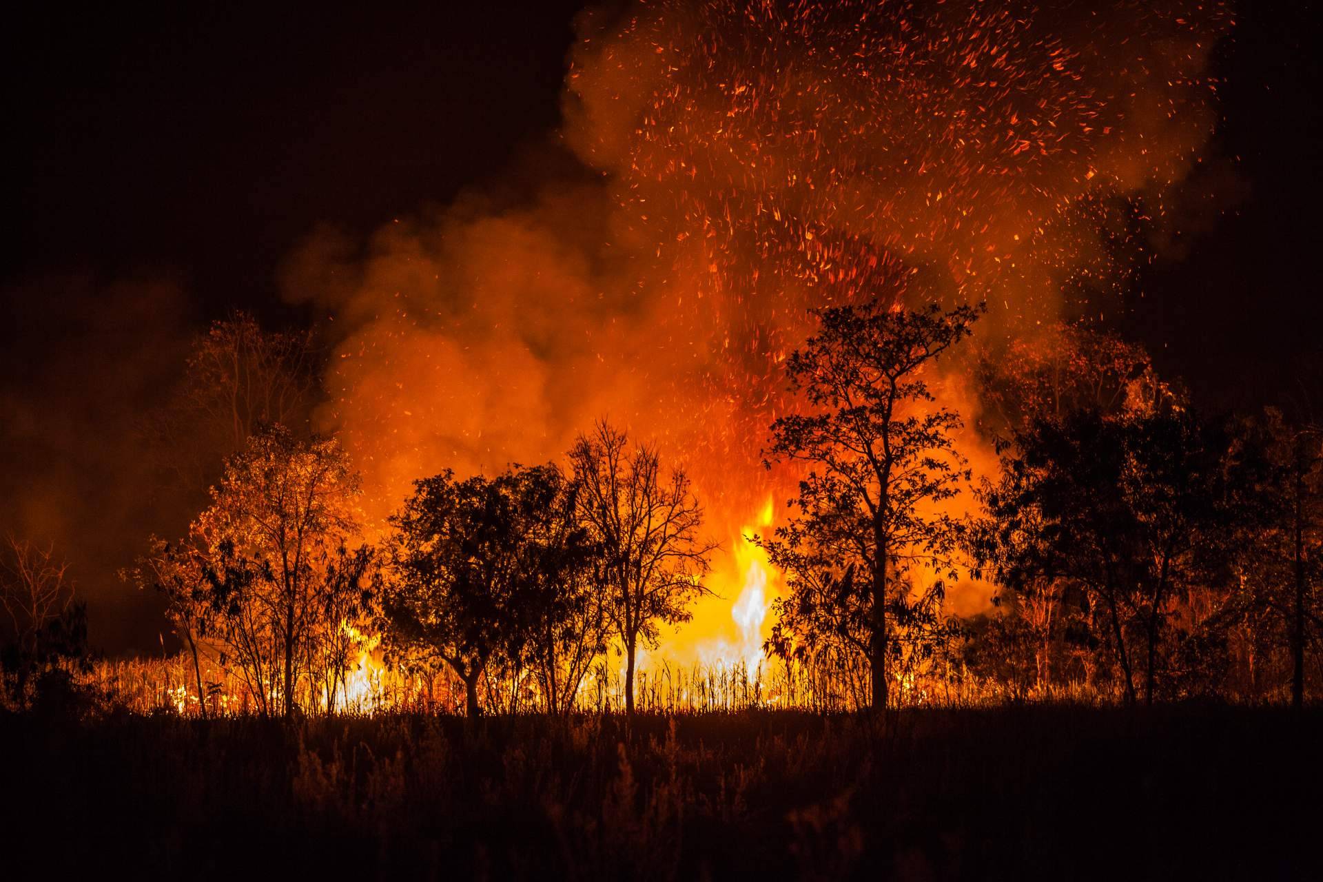 ¿Cómo prevenir los incendios forestales en Mijas?, por #SoydeMijas