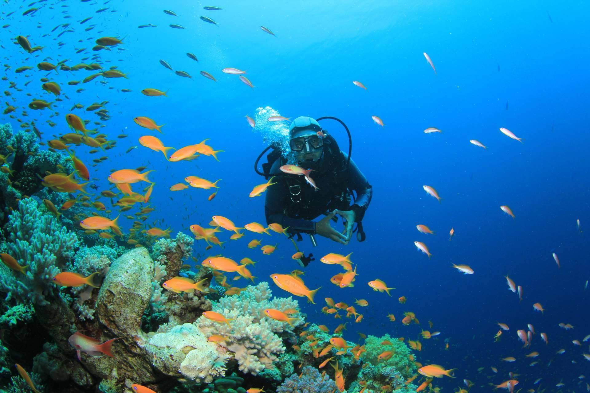 Diveasapp permite reservar bautizos de buceo, viajes, cursos e inmersiones