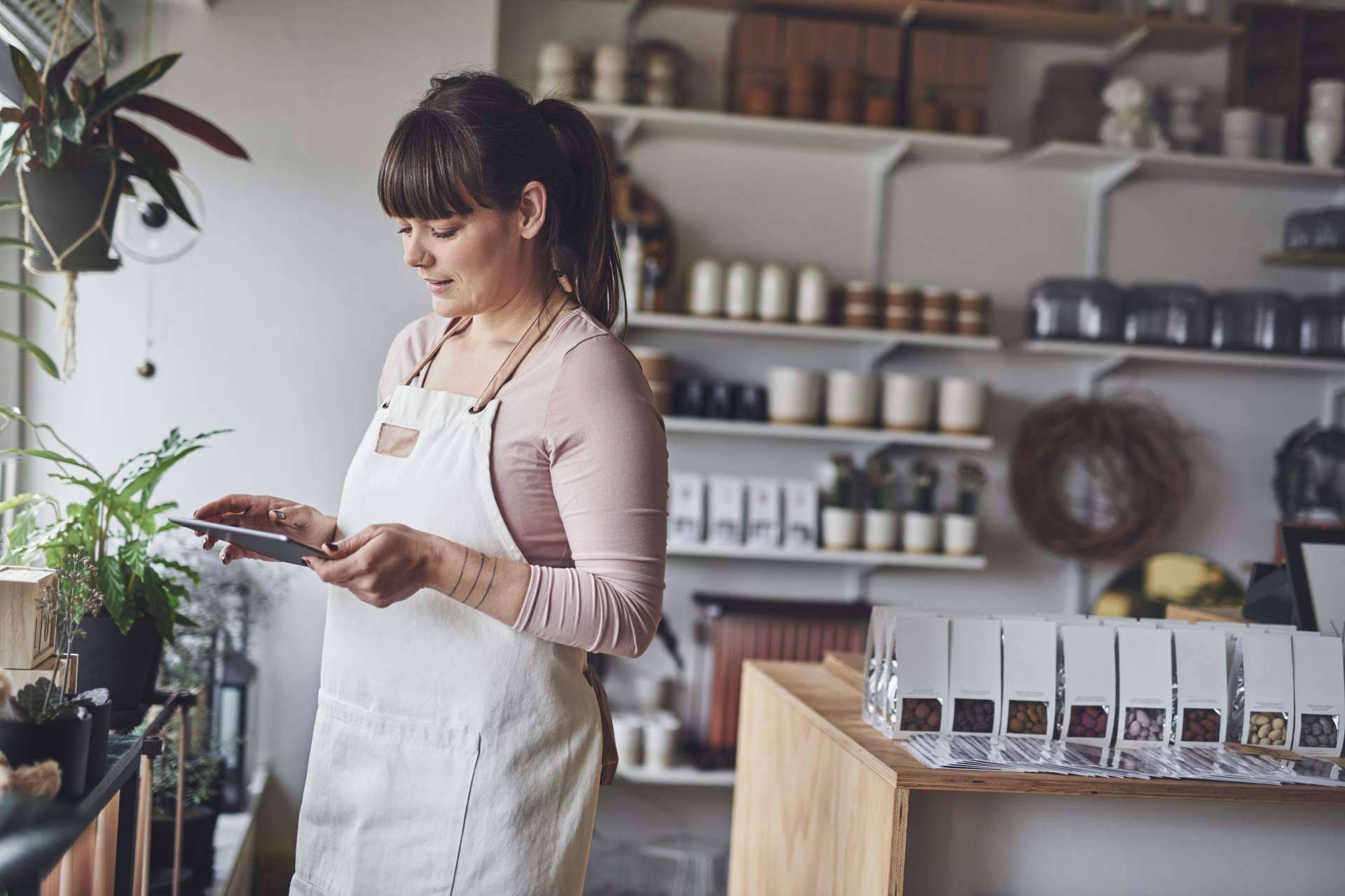 IceCream Marketing Shop ayuda a solicitar el segmento II del Kit Digital