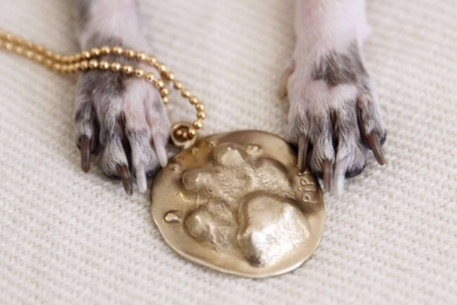 Dejando Huella Joyas diseñan joyas personalizadas para amantes de las mascotas