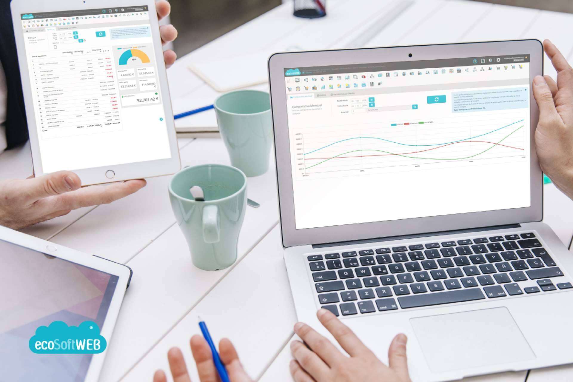 Tener una visión global de la progresión de una empresa en tiempo real gracias a ecoSoft Consulting