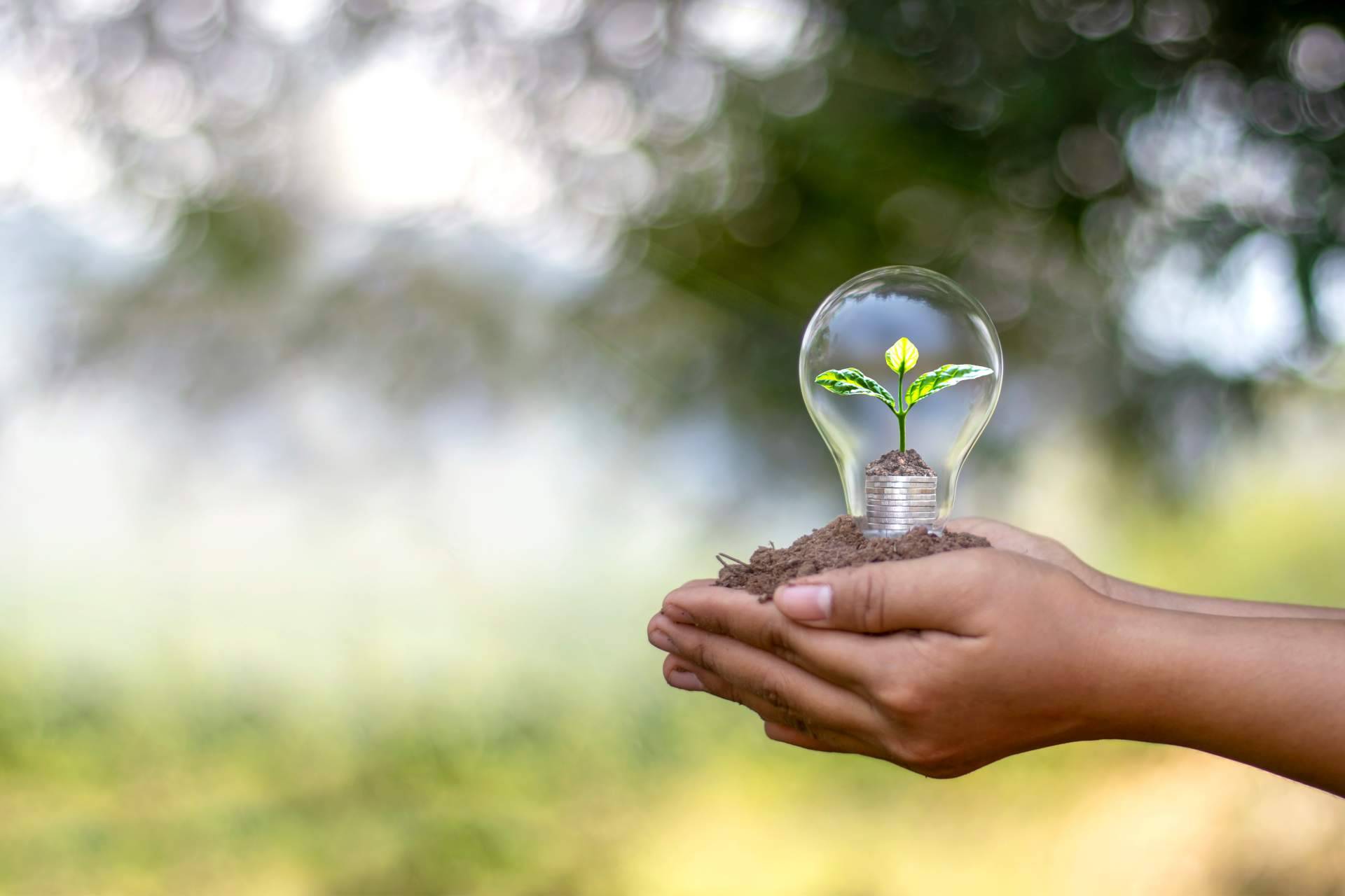 Reducir el consumo energético durante el verano mediante el bombeo solar aislado para piscinas de hoteles y complejos, con Ingeniería MASRED