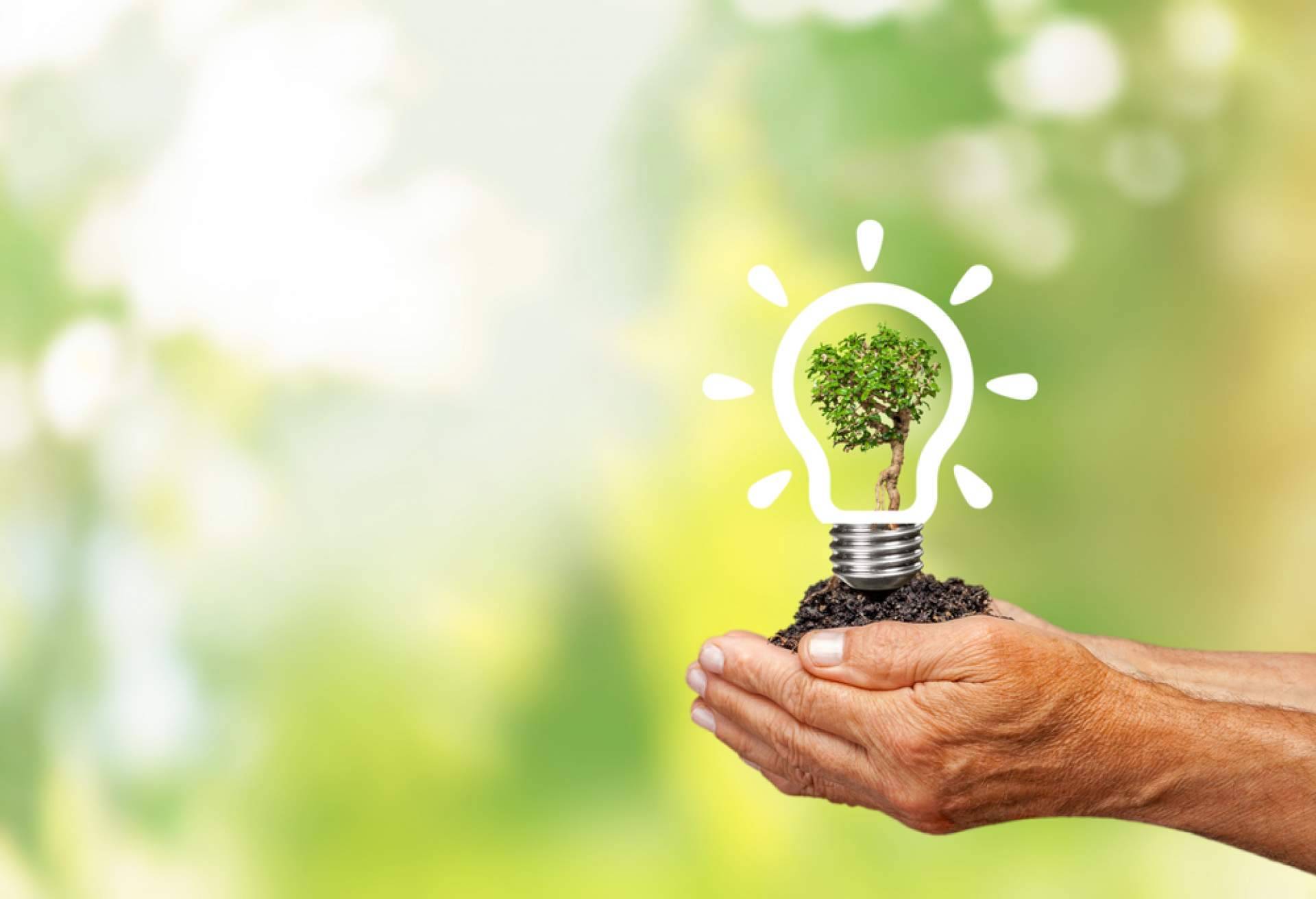 SATE Mediterraneo se posiciona un paso por delante en eficiencia energética