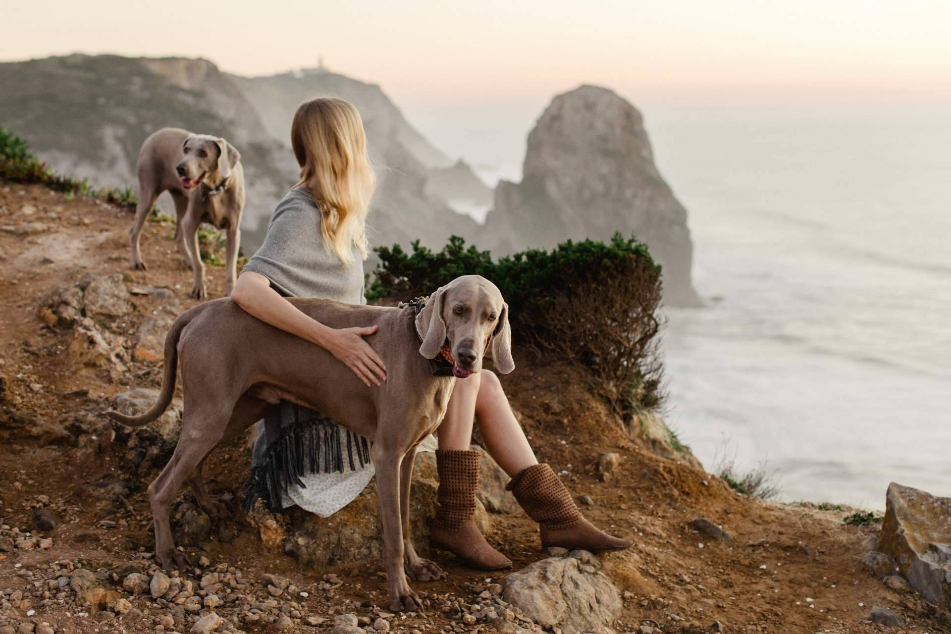 Ganar amigos con la adopción de perros
