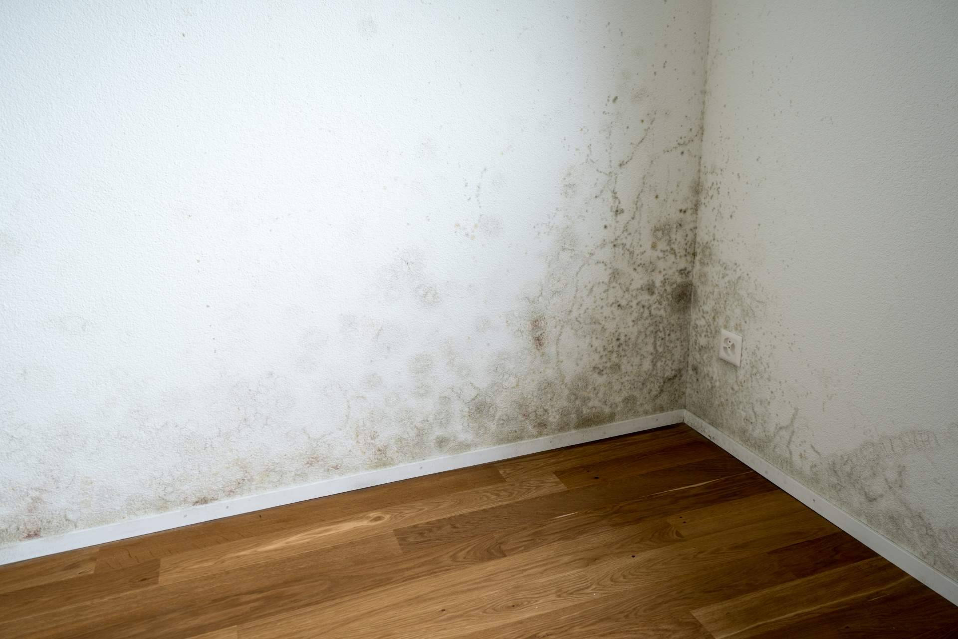 Preactiva permite eliminar humedades en garajes y sótanos con su nuevo dispositivo