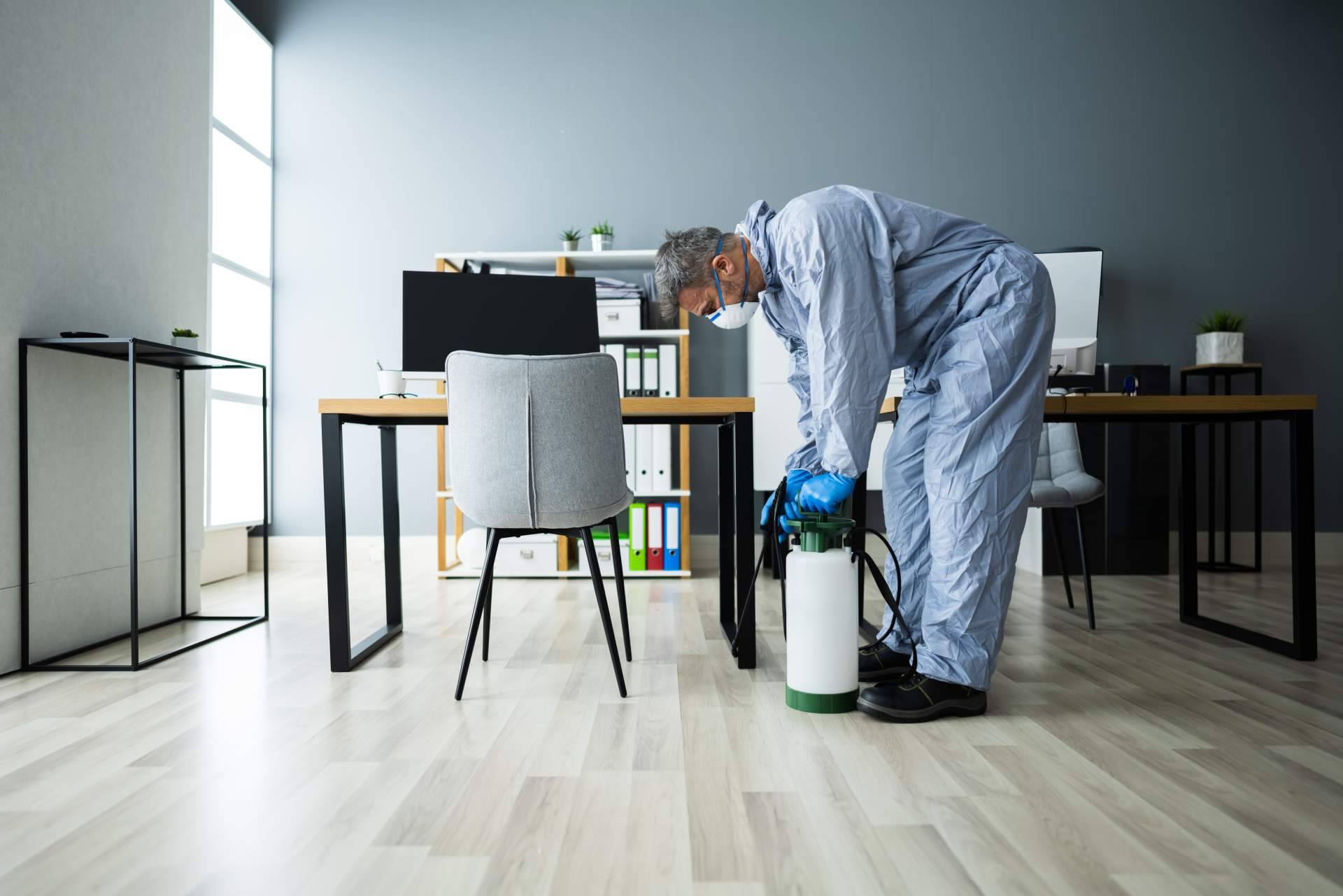 ¿Por qué es importante la fumigación de cucarachas y la eliminación de hormigas?