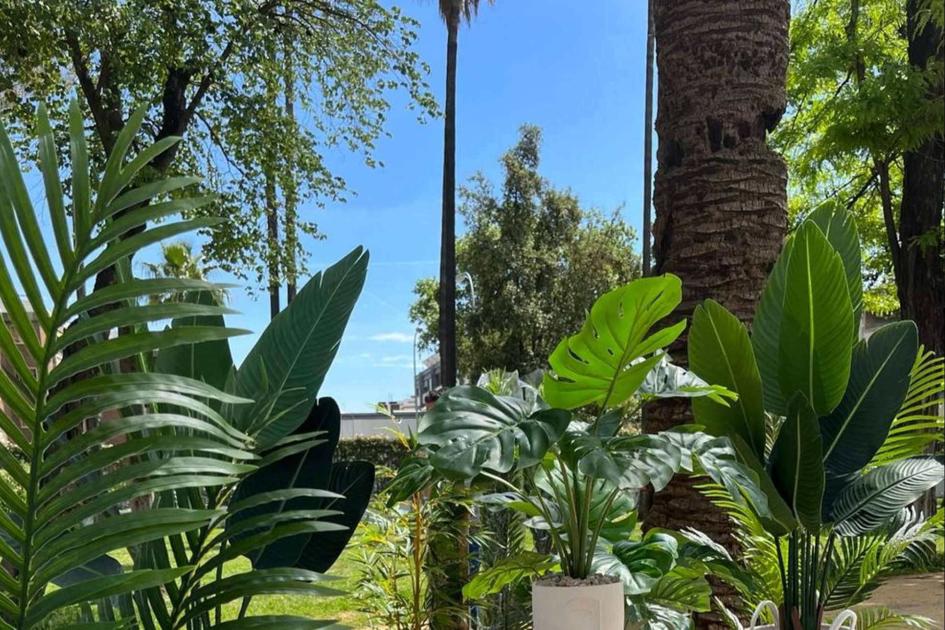 ¿Dónde comprar plantas artificiales por internet?, en Zamyo
