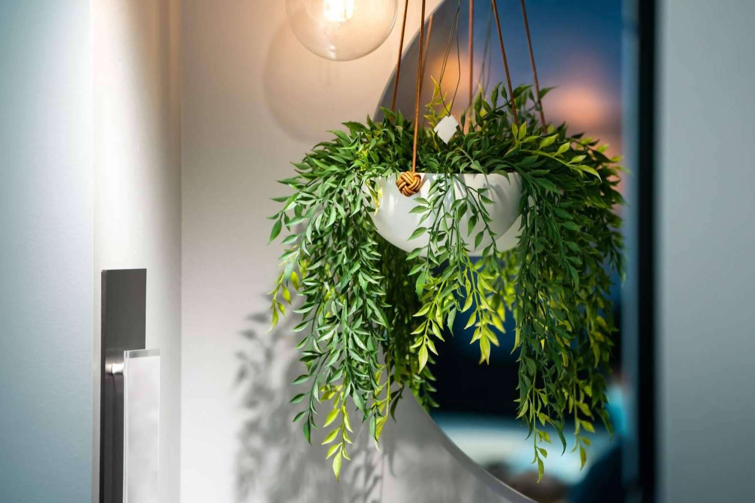 Consejos para combinar plantas artificiales para dar un toque especial a cualquier espacio
