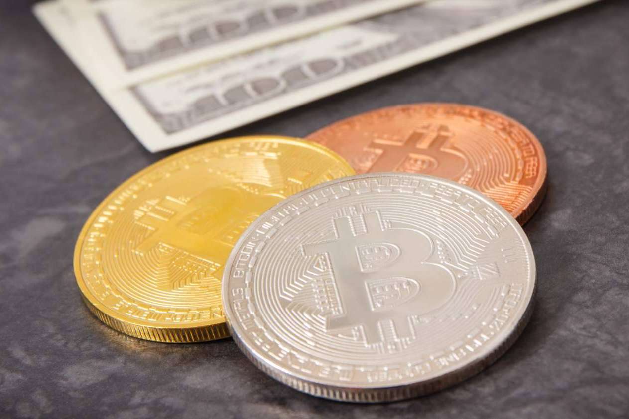 Desde una biocriptogranja hasta la energía solar, el uso de energías renovables para la minería de criptomonedas está aumentando