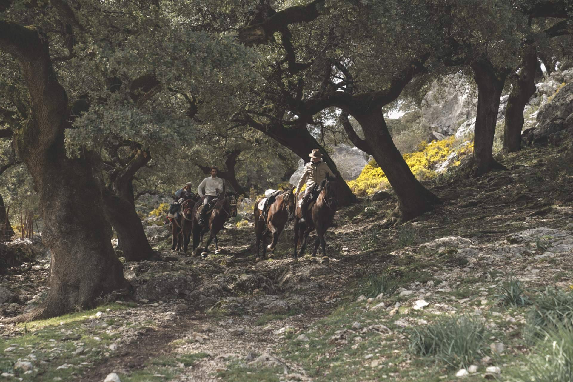 ¿Qué beneficios ofrece hacer paseos en caballo?, con Maktub Bohemian Rides