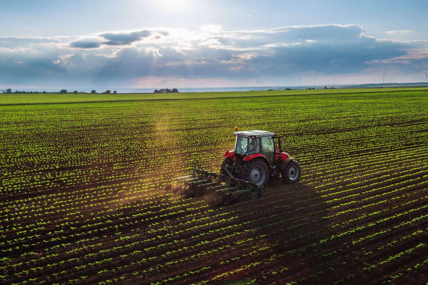 Suministros ecológicos y asesoramiento agrícola para cuidar y potenciar los cultivos, SAECO