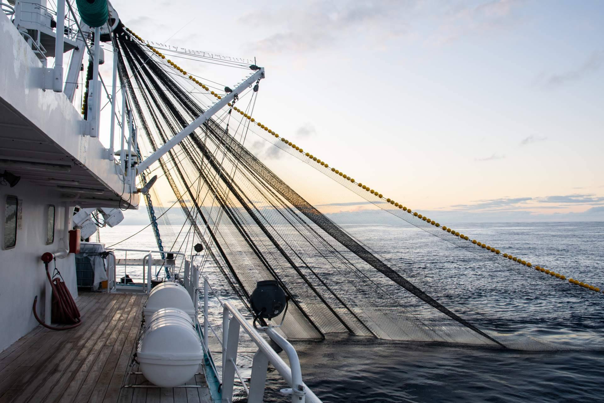 Los sistemas giratorios para anclas de calidad que ofrece Nova Argonautica, anchor swivels