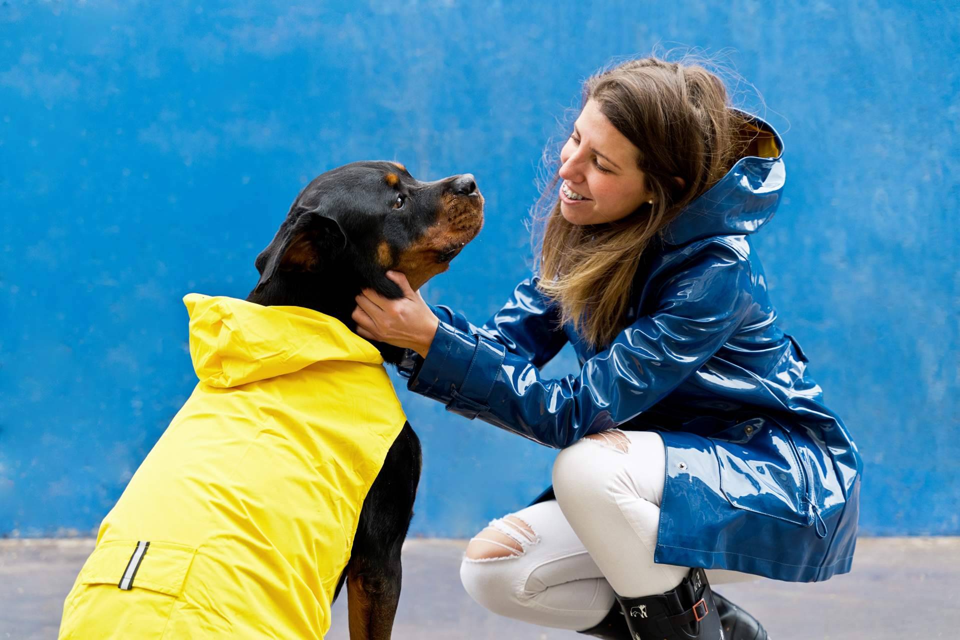 La licencia psicotécnica para la posesión de animales peligrosos en Madrid, por Centro Médico Attendit