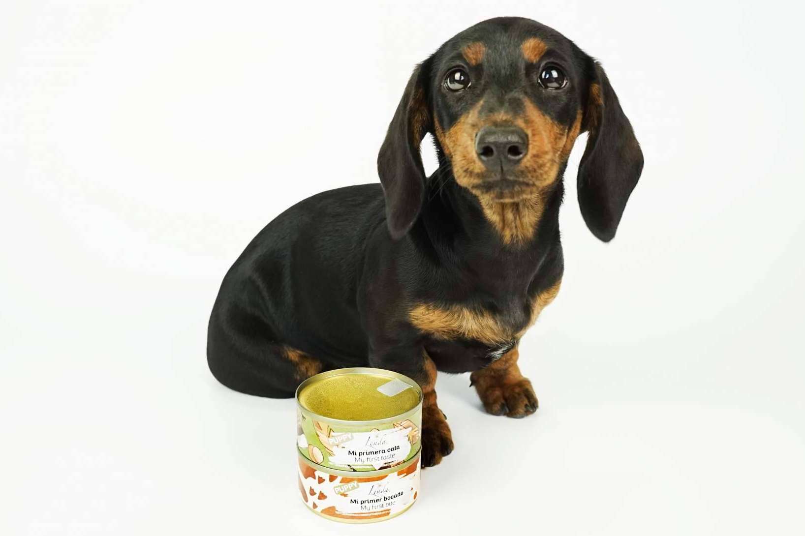 Lenda dispone de un menú degustación para cachorros