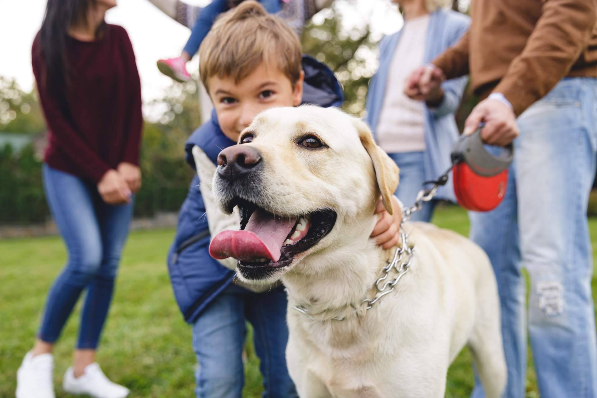 Piensos para perros, Wolves Legacy y la legendaria fórmula que los perros devoran