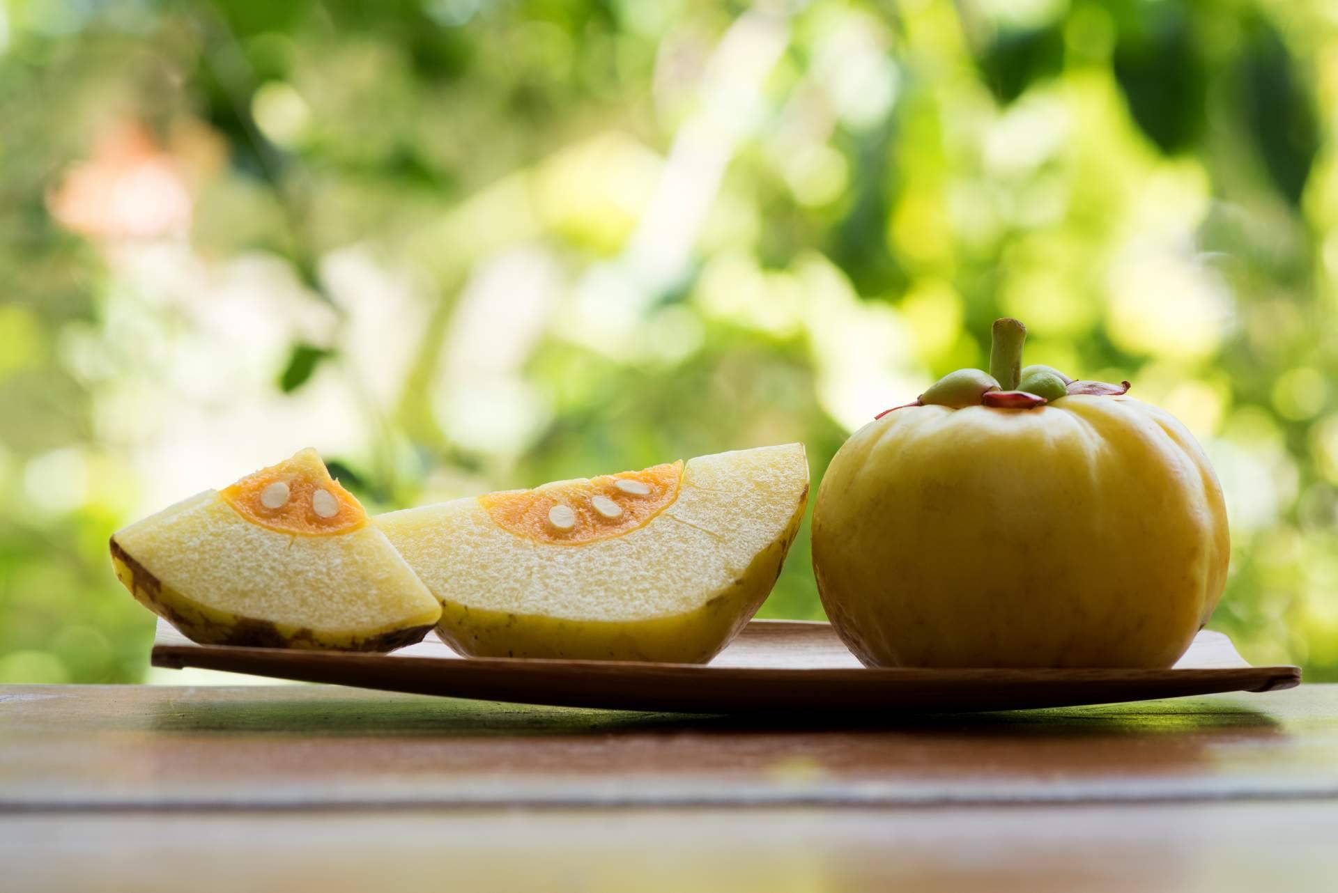 Cuáles son los beneficios de la Garcinia Cambogia, por La Parafarmacia del Puerto