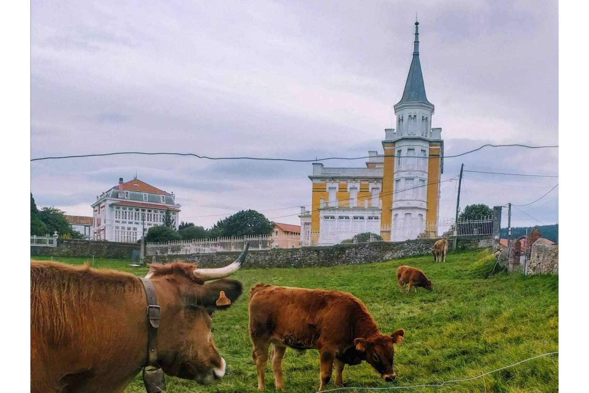 Cuáles son las razones para visitar Asturias y alojarse en el Hotel Rural MonteSomao