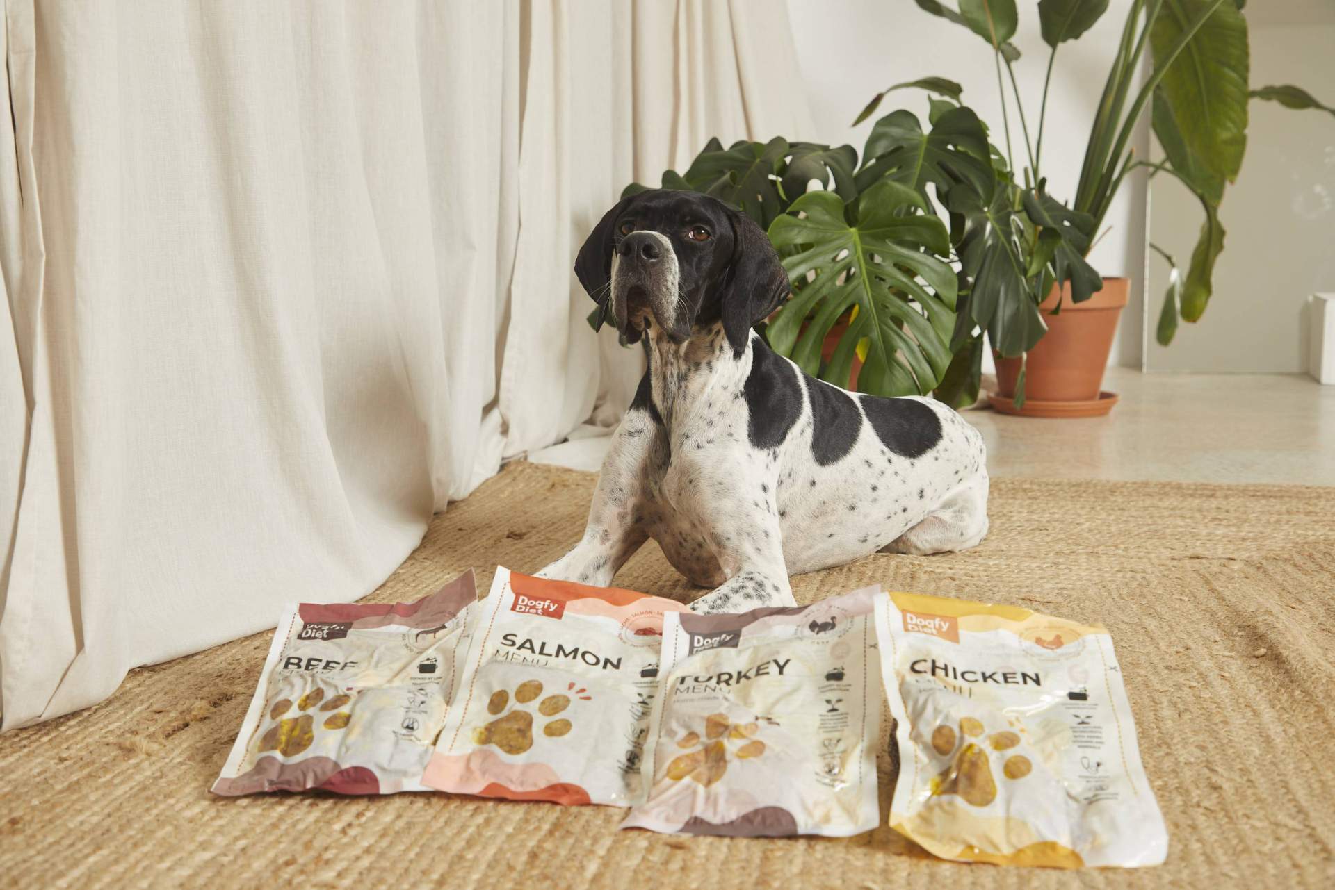 ¿Qué beneficios tiene la comida natural para perros?