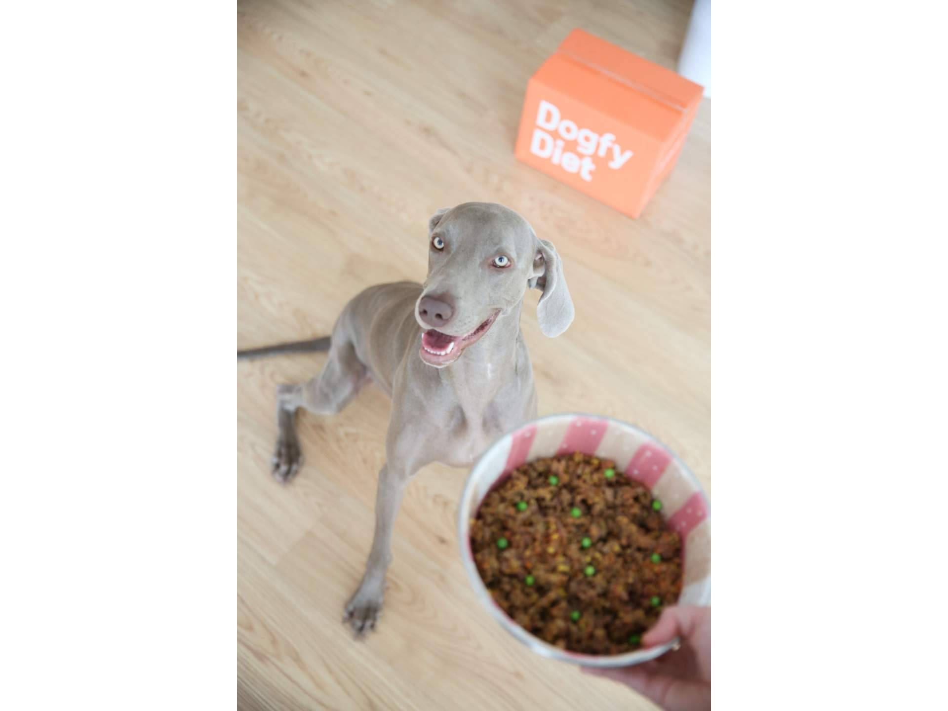 ¿Qué diferencias tiene la comida natural cocinada para perros y la dieta BARF?