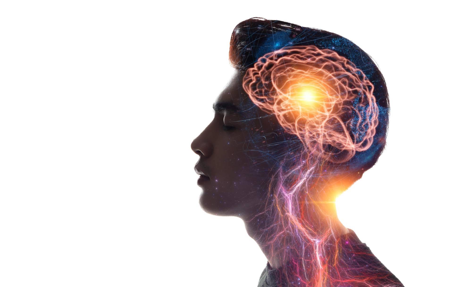 Favorecer la plasticidad cerebral de la mano de los productos de Store Naturopatía