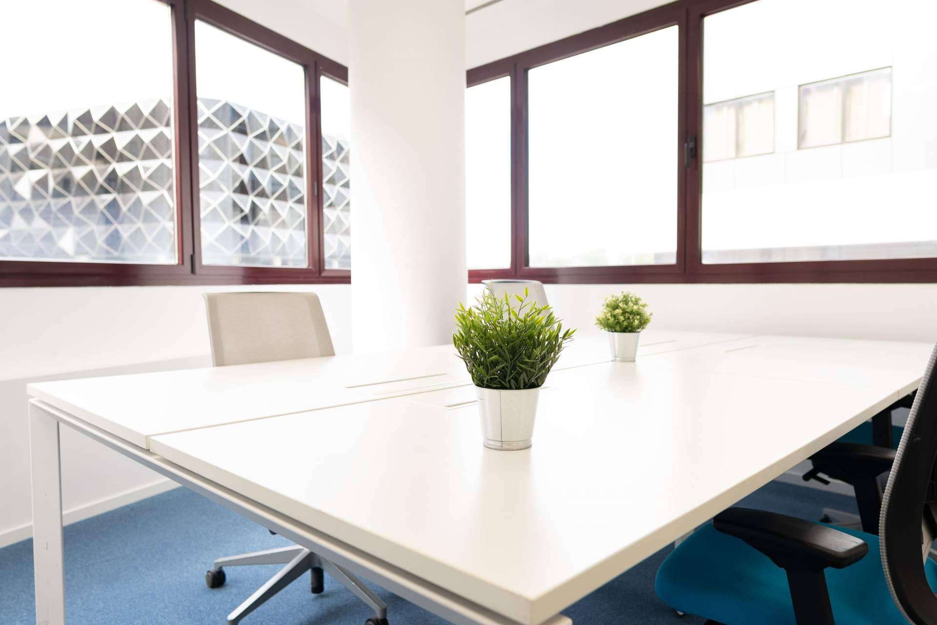 MyCoworking Las Tablas, un espacio de coworking con un concepto actualizado