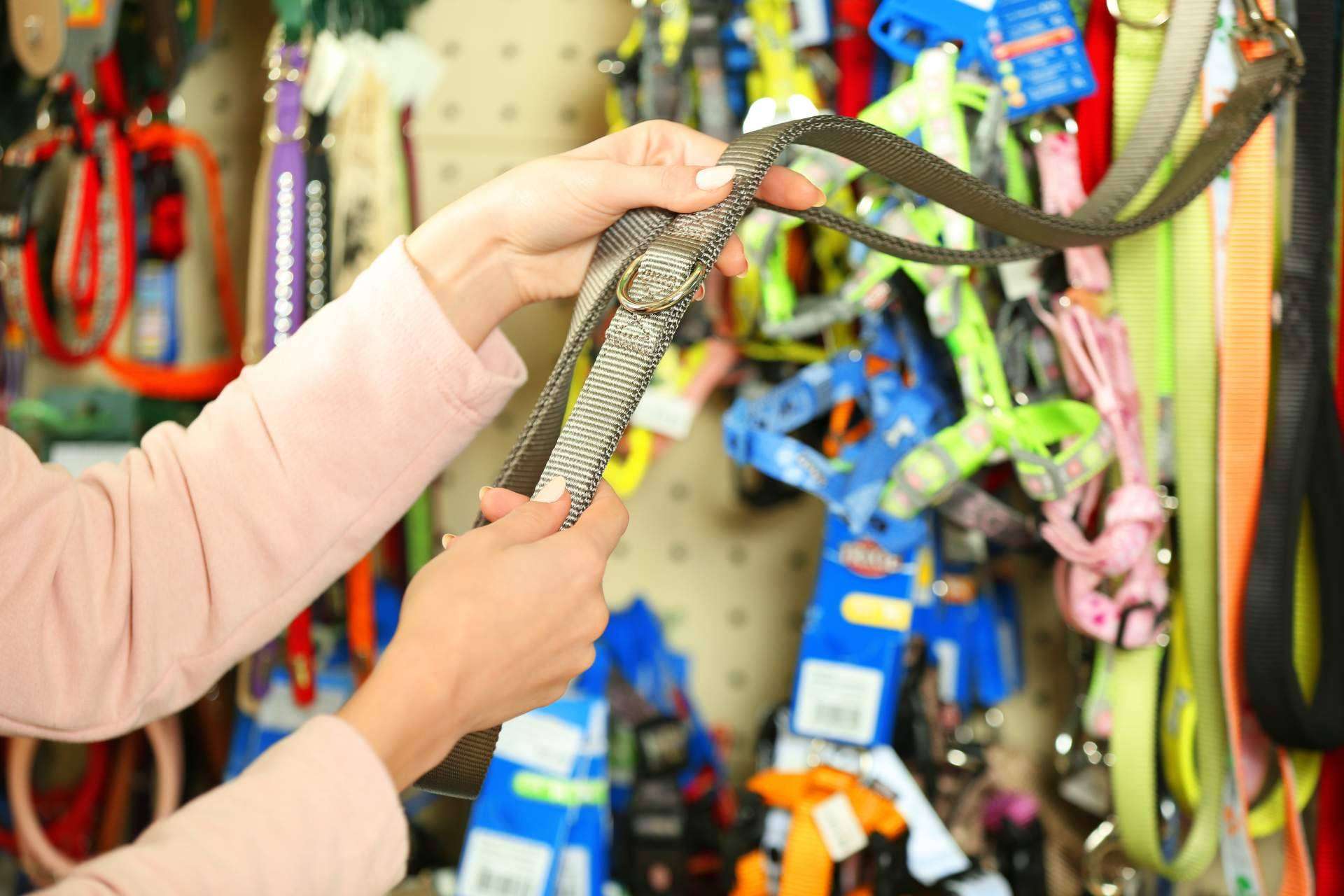 Alba IBS ofrece un software para mascotas y tiendas de animales