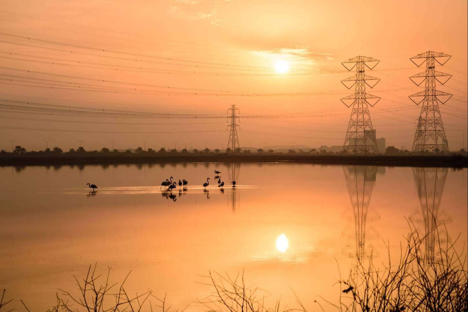 Cuáles son las ventajas de dar de baja la luz en pisos de alquiler, según ISholidays.com
