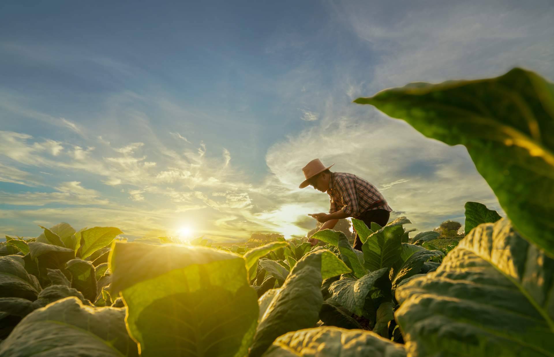 Conocer nuevas maneras de producción sostenible y respetuosa con el medio y los animales