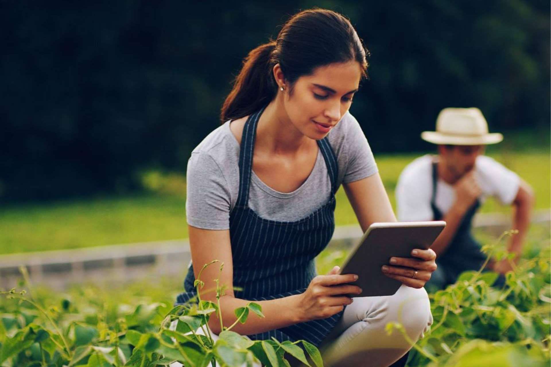 Convertir proyectos sociales latinoamericanos en empresas sociales con proyección en Europa de la mano de la ONG Share to Change