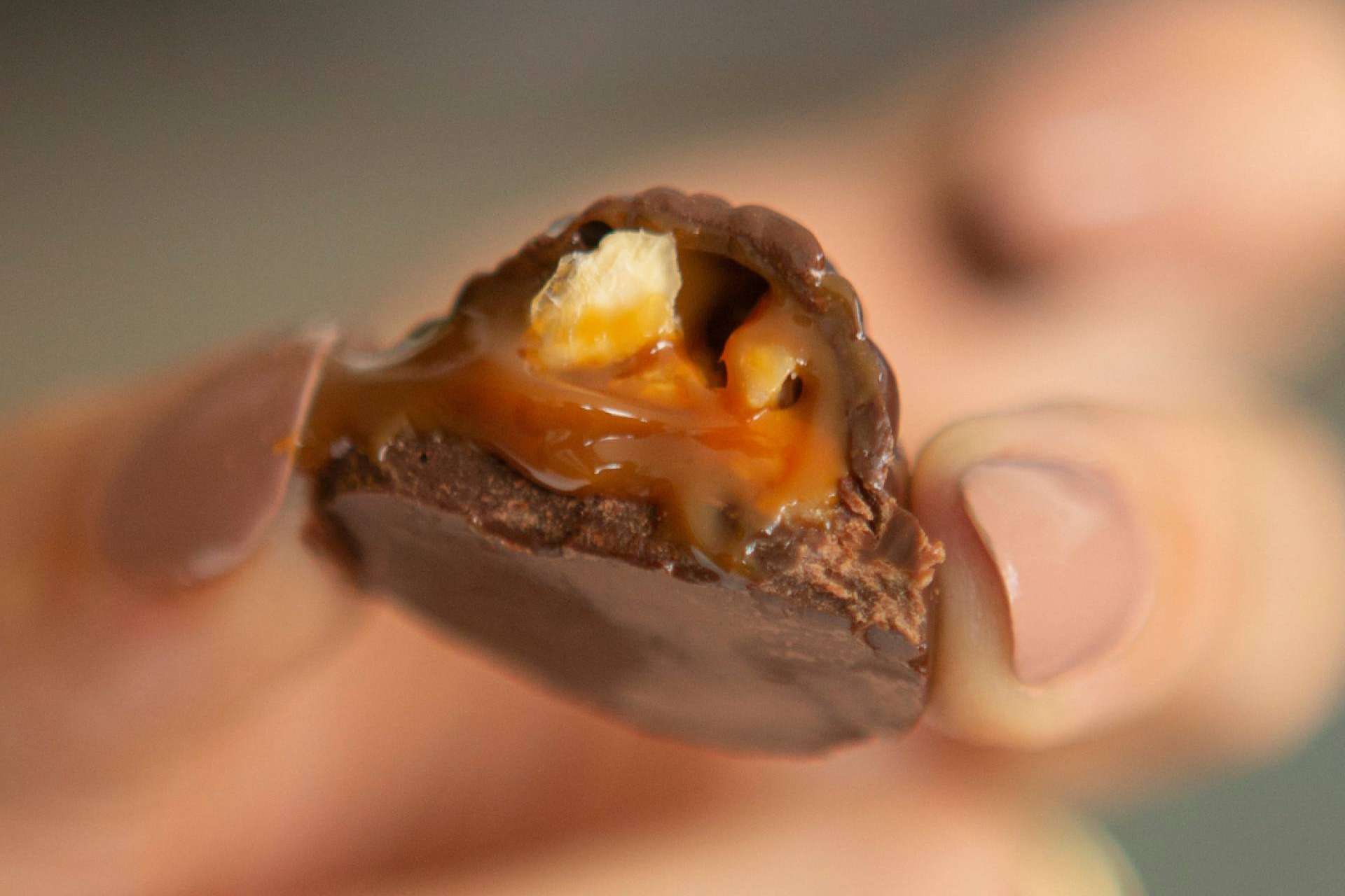 Nuche, la nueva marca de bombones de chocolate con forma de nuez que causa furor en Europa