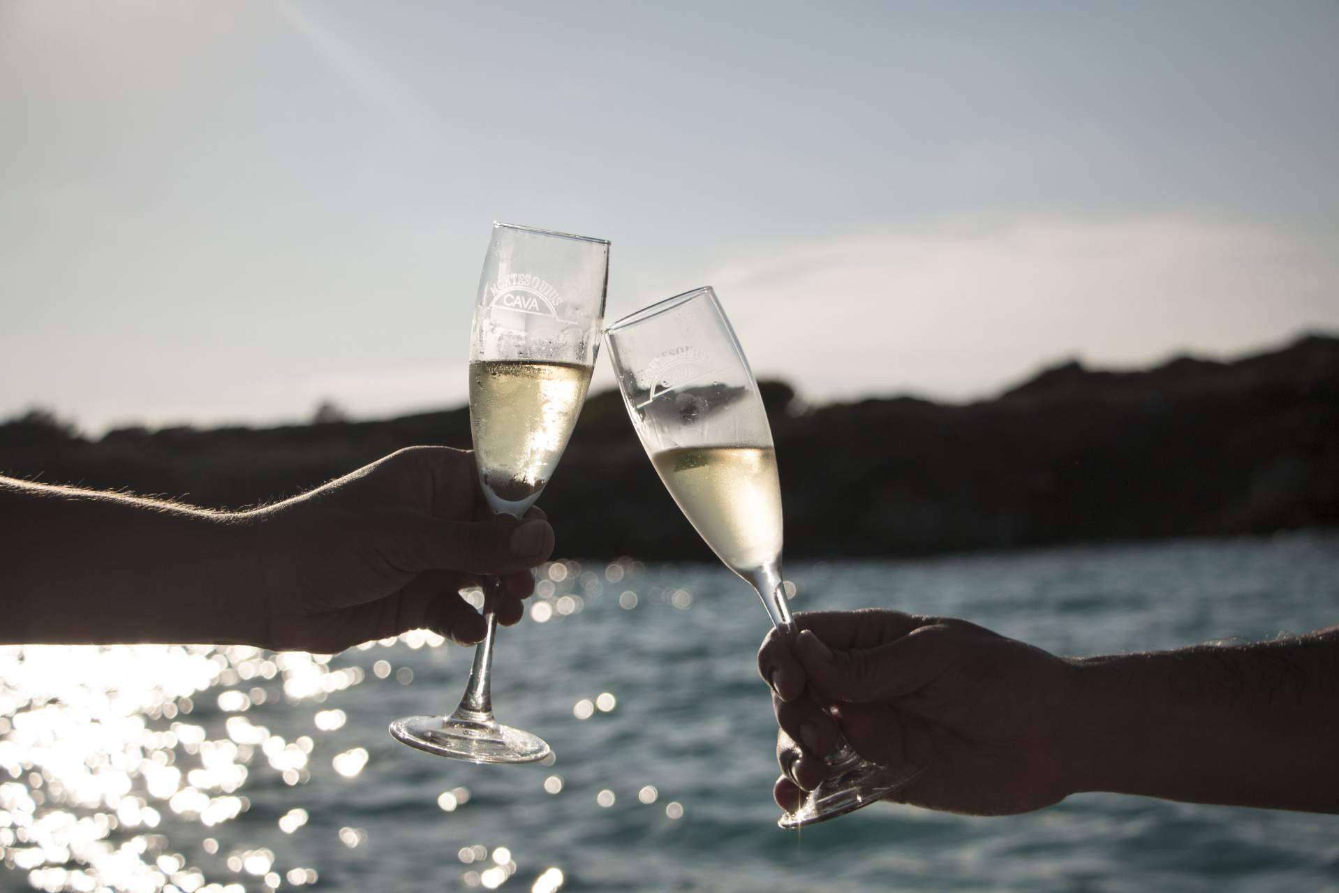 Comprar vinos para ocasiones especiales en Natureloverswines.com