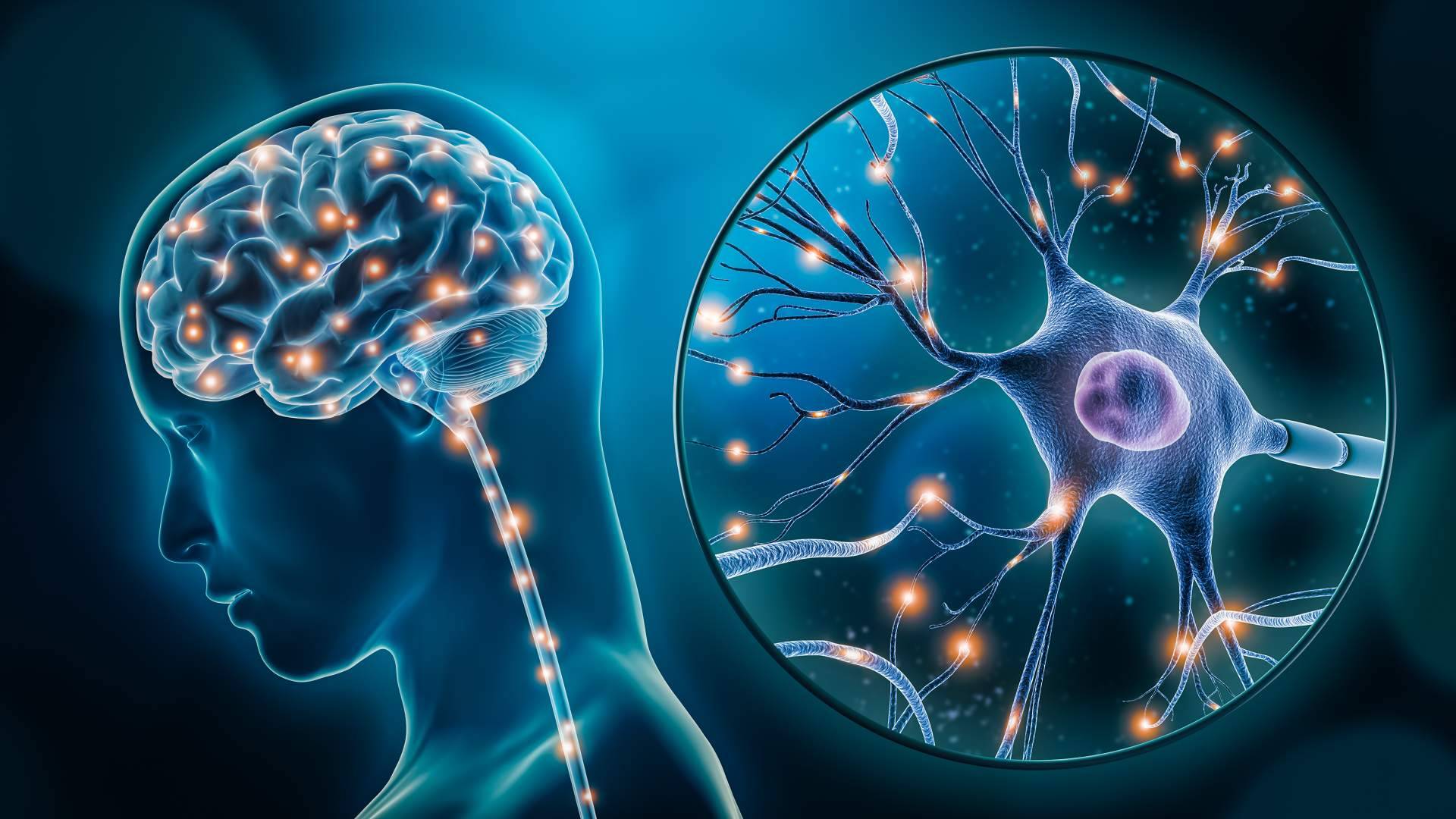 Actividades de estimulación cognitiva para el Parkinson con INIMA Rehabilitación