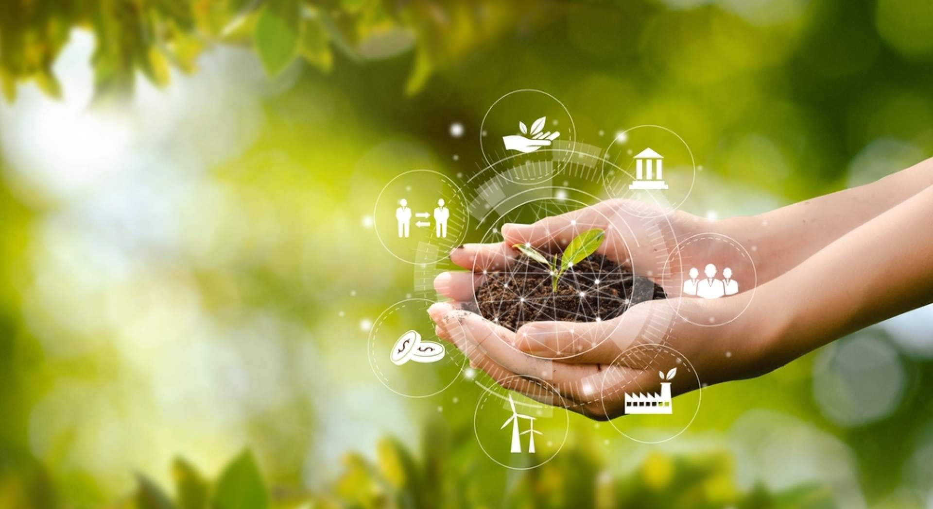 Fitovademécum, un espacio donde conocer la normativa de los productos fitosanitarios
