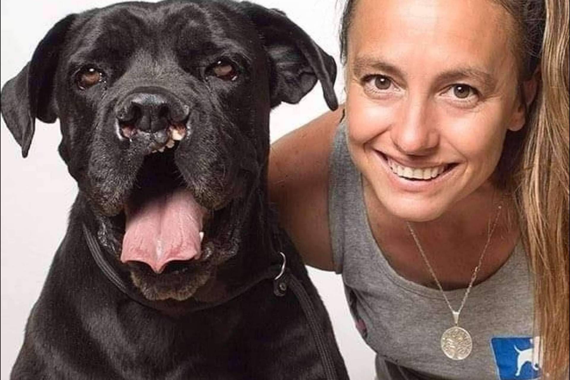 PERROBUENO, las ventajas de una guardería de perros que utiliza un método sin jaulas