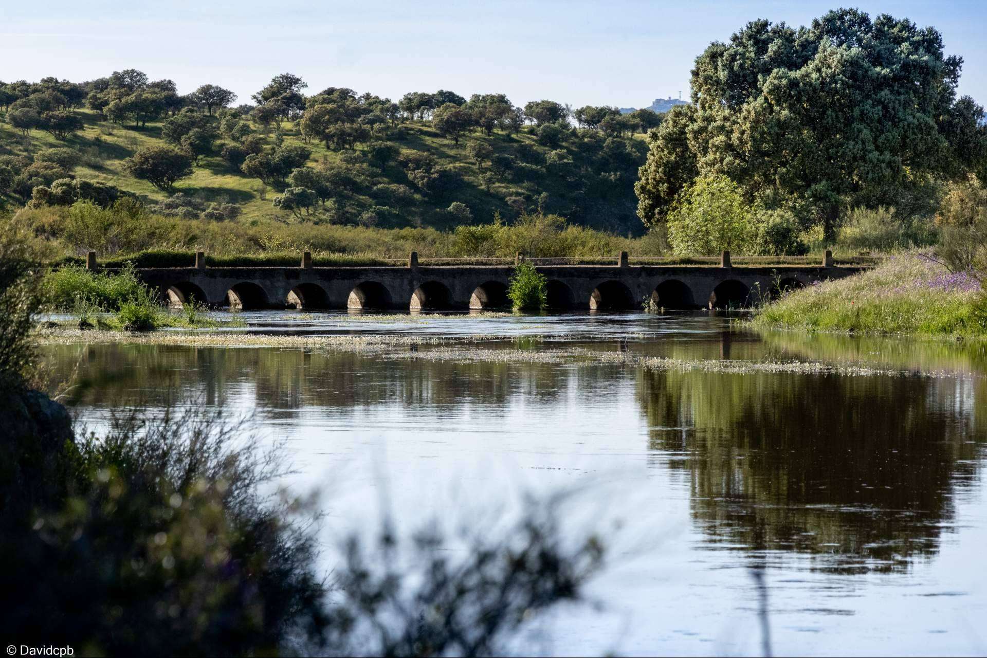 Disfrutar de las rutas de senderismo en Alamillo