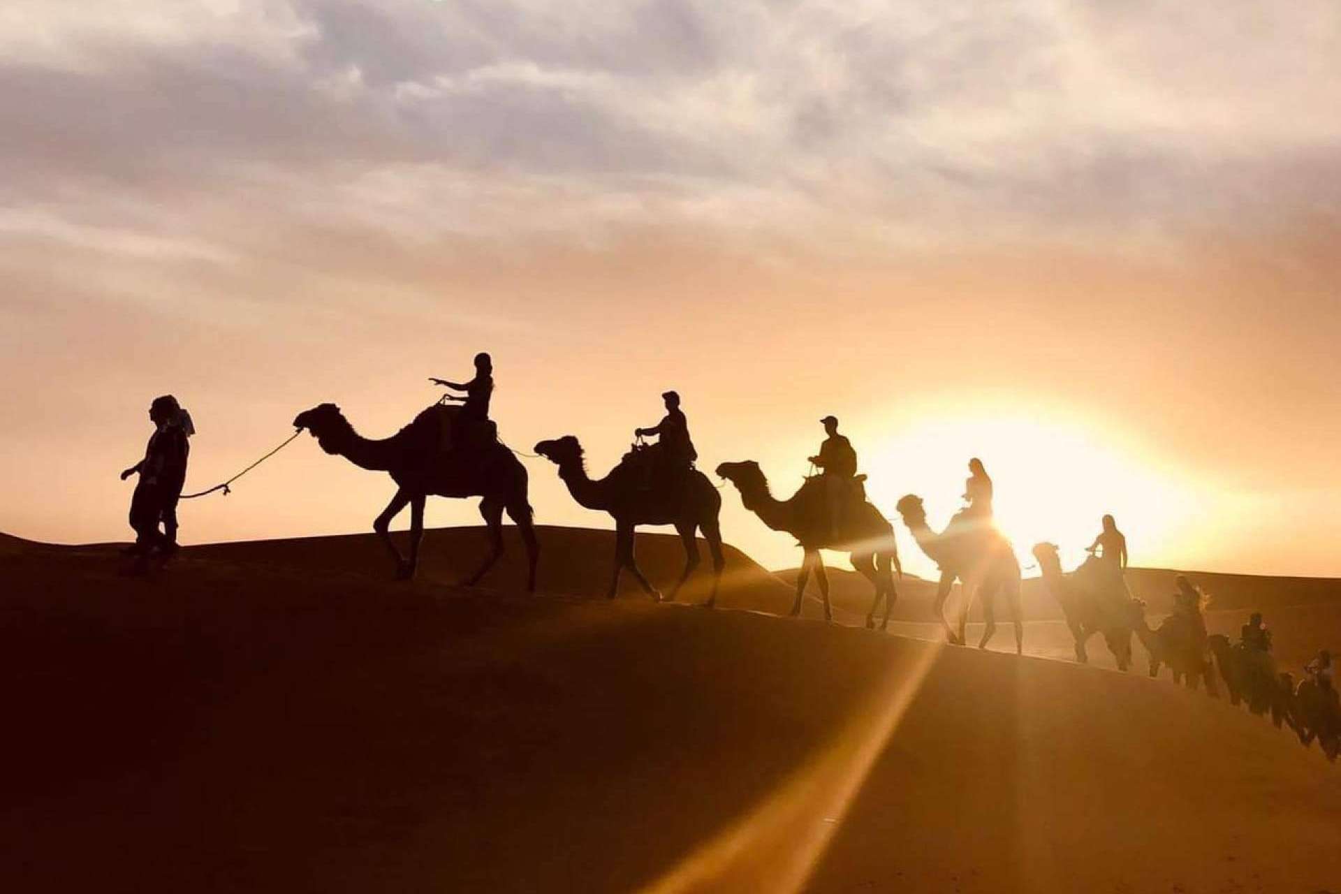 Excursiones en camello a las dunas de Erg Chebbi, de la mano de Camel Trekking Tours