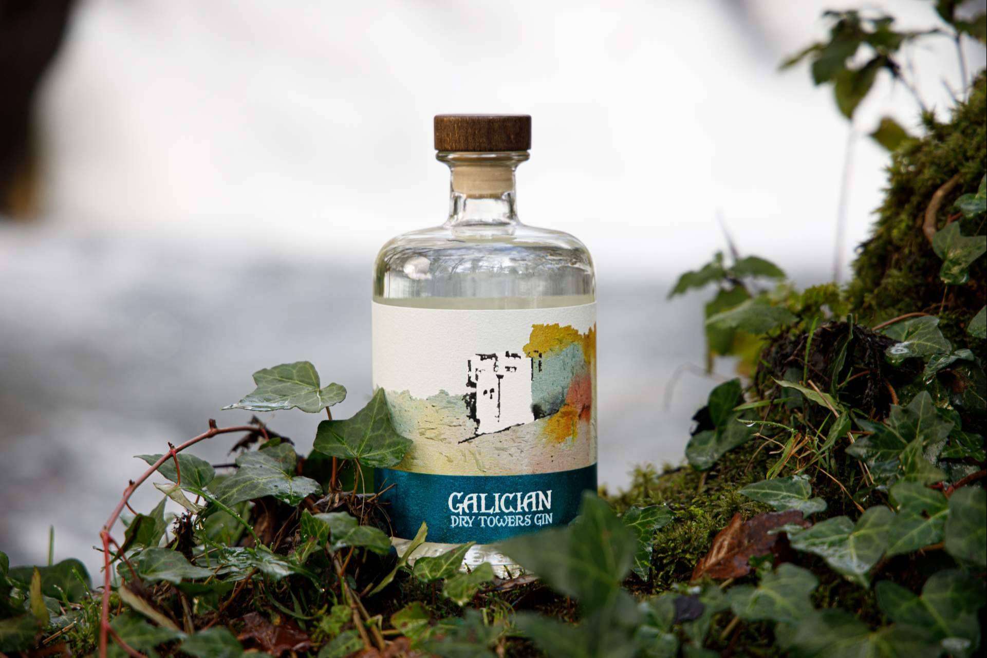 Encontrar una Ginebra Gallega Premium excelente a un precio nunca visto por el Día del Padre