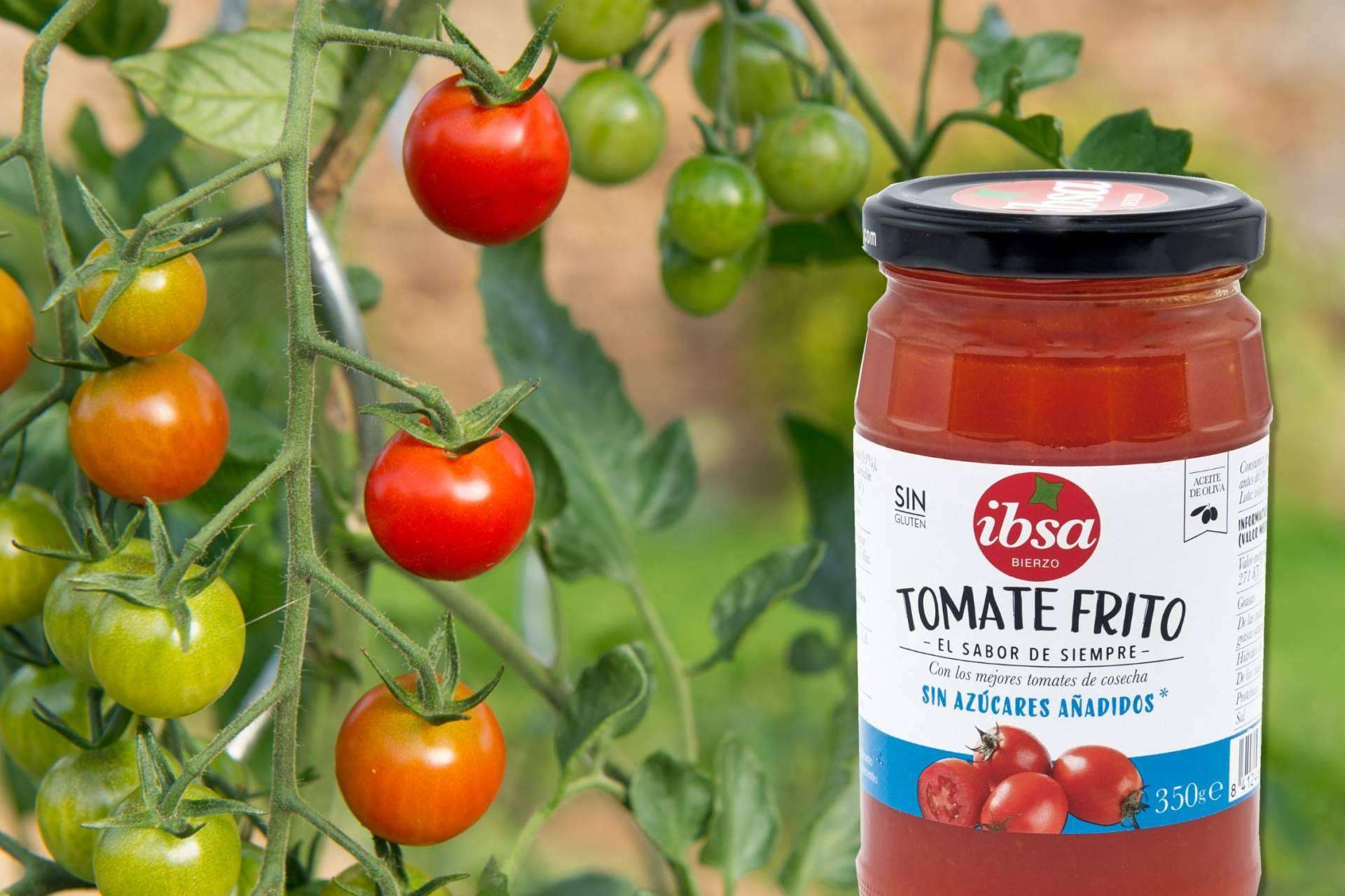 Las conservas vegetales claves para una alimentación saludable, de la mano de IBSA