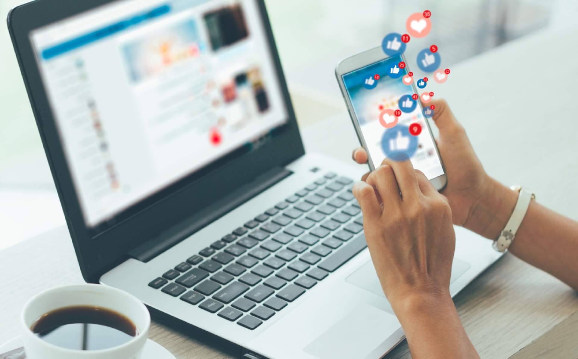 Wolf Agency, la agencia digital para estrategias de marketing y SEO en España e Italia
