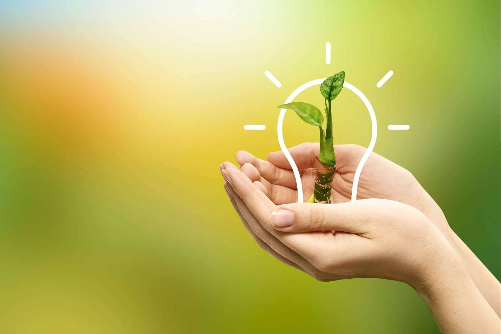 Siendo empresa Cepyme 500 por tercer año, Multienergía Verde consolida su crecimiento y estrategia a largo plazo