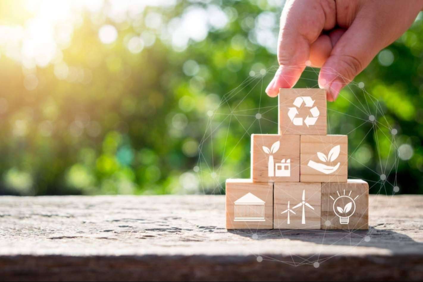 La importancia de la eficiencia energética en la lucha contra el cambio climático. ¿Cómo una asesoría energética puede ayudar?