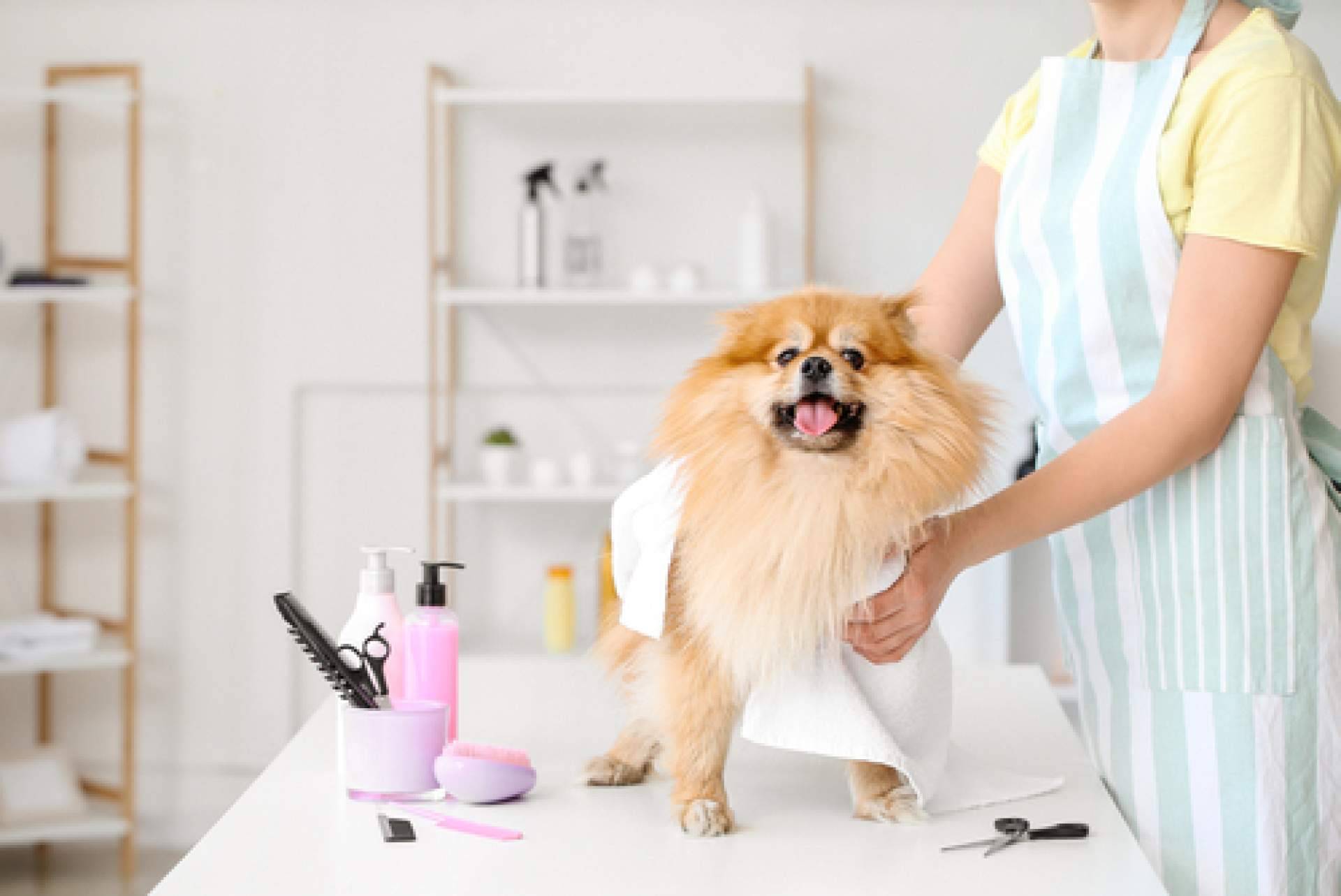 4Huellas es el distribuidor de Yuup!, la marca de productos de cosmética para peluquerías caninas