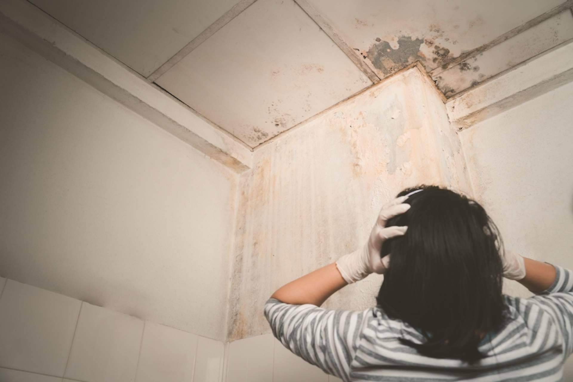 Preactiva cuenta con la destacada experiencia para quitar humedades por capilaridad