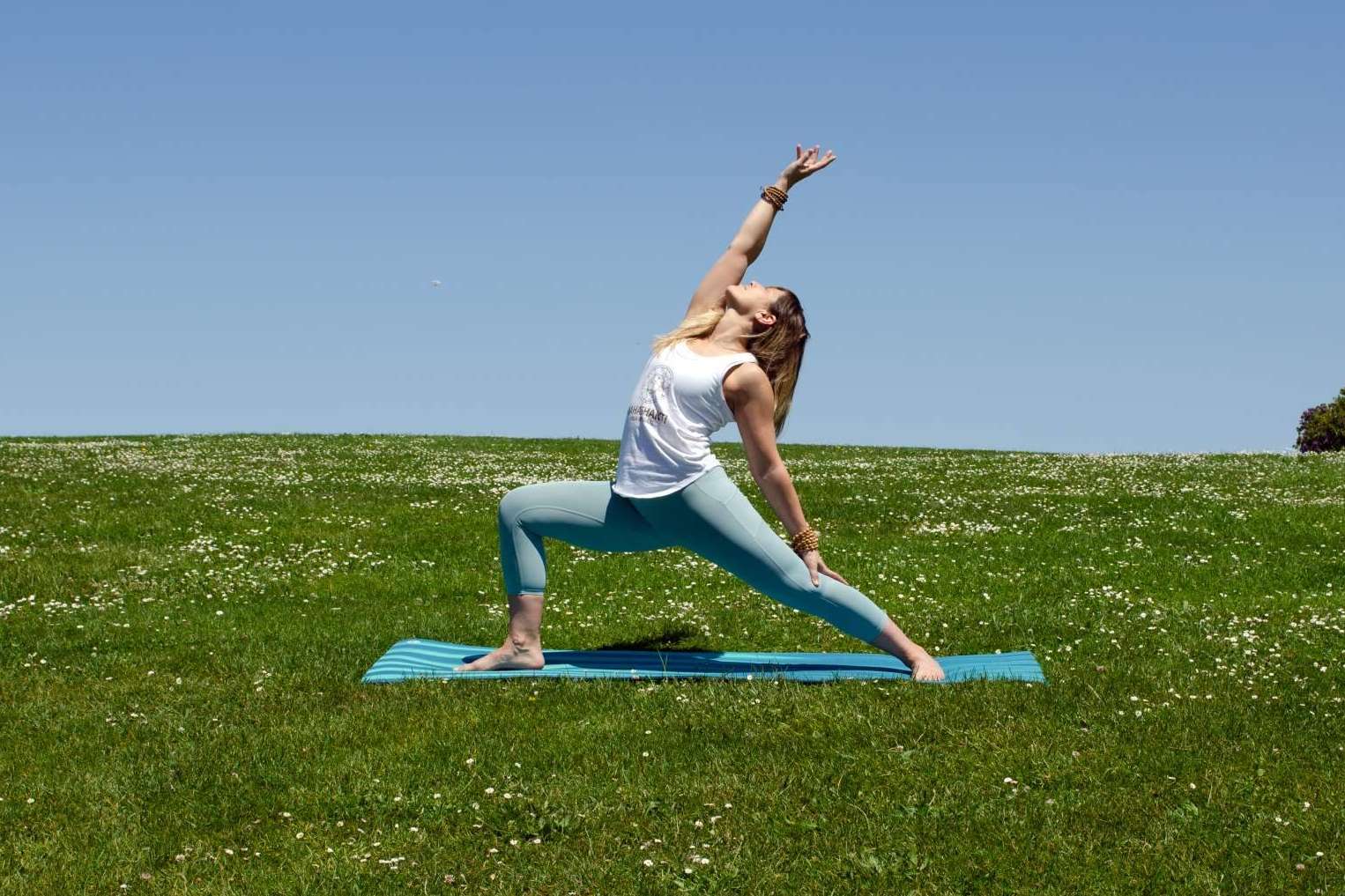 Formación de profesores de yoga integral y curso de actualización de profesores de yoga en la Escuela Mahashakti