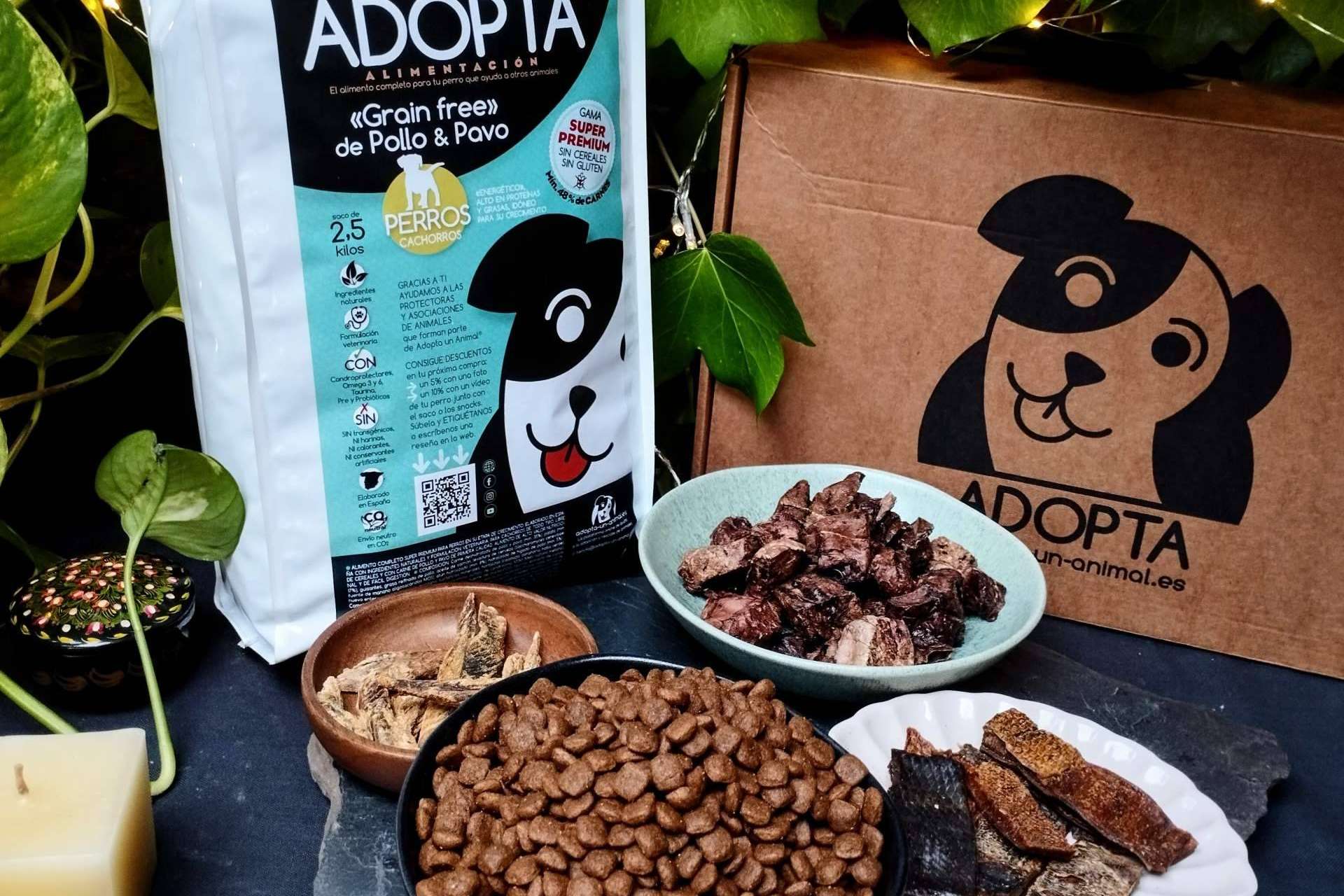 Adopta un Animal y los principales beneficios del pienso sin cereales