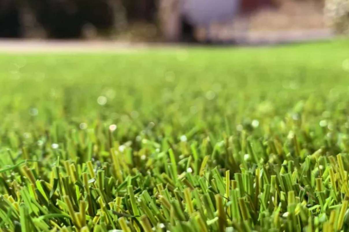 Mejorar el aspecto del jardín al mismo tiempo que se mejora el medioambiente, con Albergrass