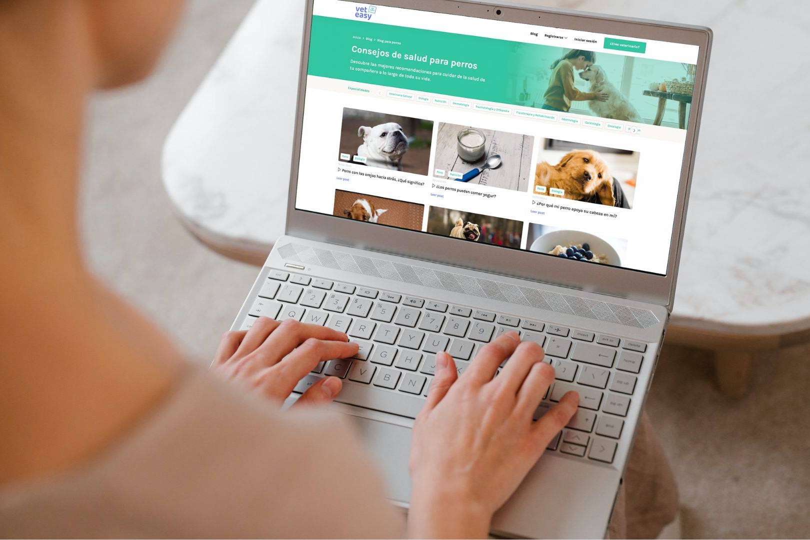 Los propietarios de mascotas acceden a servicios veterinarios de calidad con la plataforma VetEasy